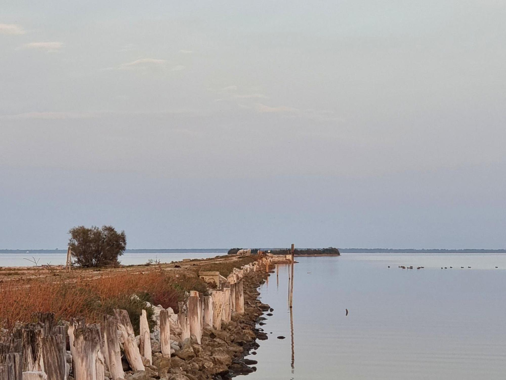 Al Ponticello Bed and Breakfast Comacchio Exteriör bild